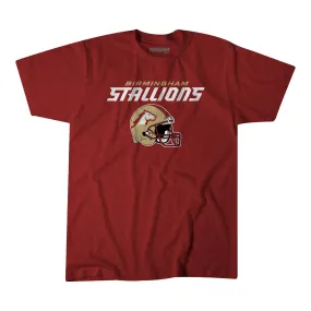 Birmingham Stallions Vintage Helmet T-Shirt