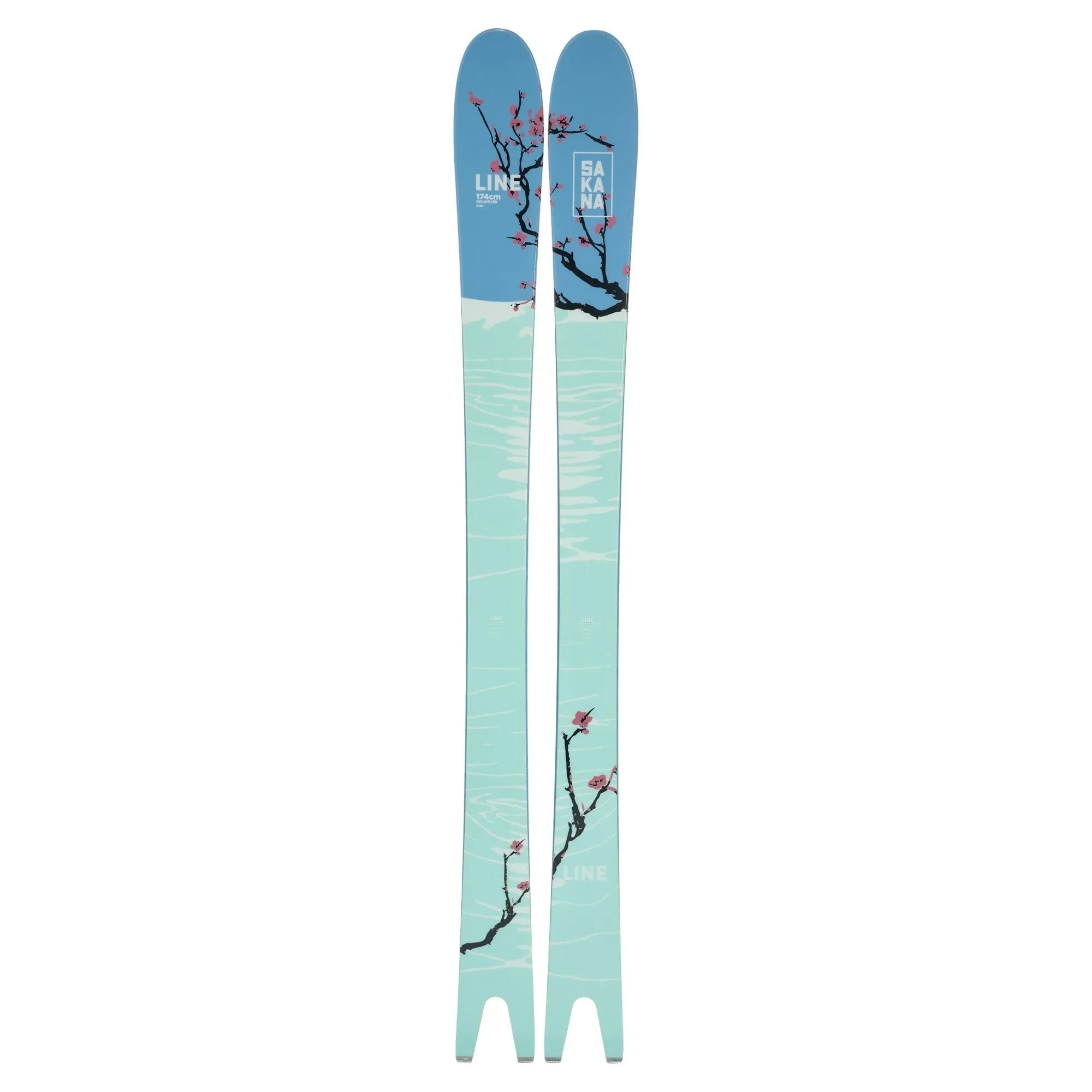 Sakana Ski - 2024