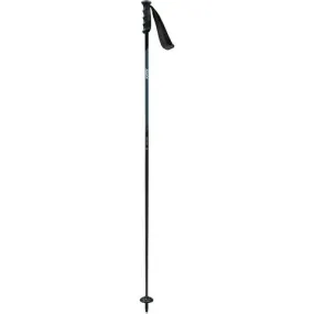 Swix Swix Excalibur Ski Pole